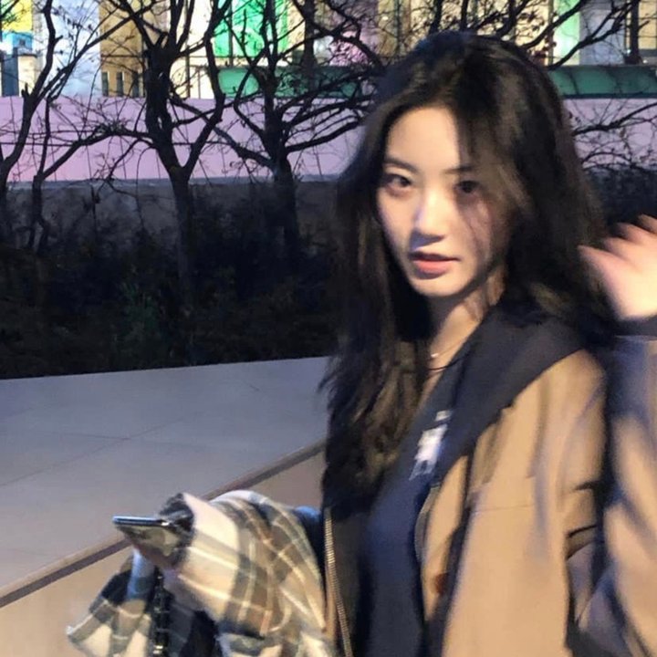 总统的分析